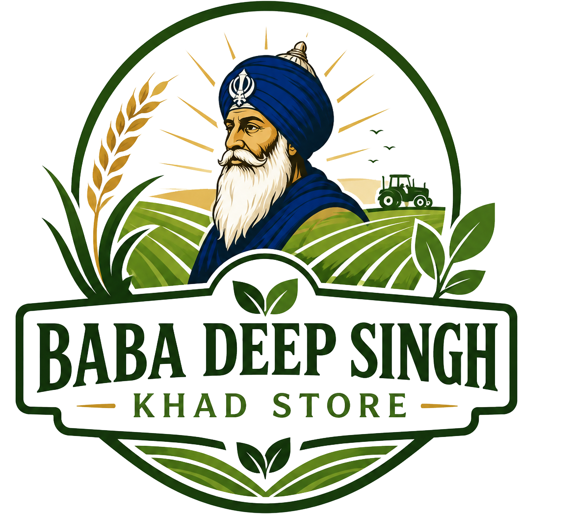 Baba Deep Singh Khad Store Logo