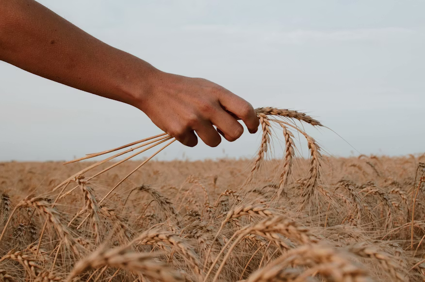 Agriculture